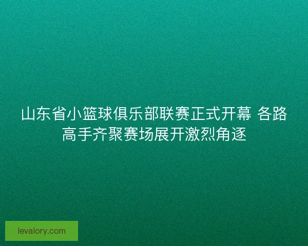 山东省小篮球俱乐部联赛正式开幕 各路高手齐聚赛场展开激烈角逐